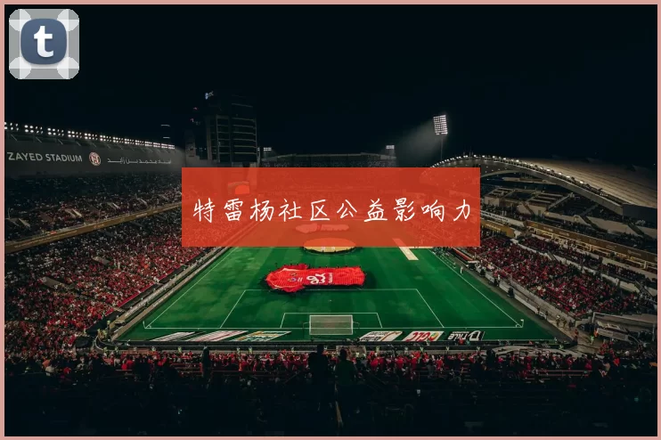 特雷杨社区公益影响力